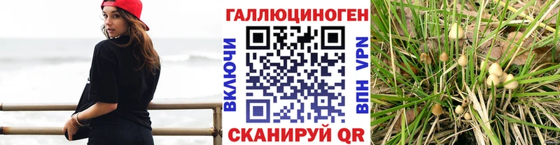 Галлюциногенные грибы GOLDEN TEACHER Куртамыш