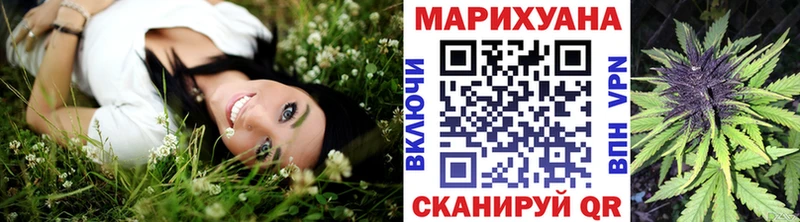 Шишки марихуана VHQ  продажа наркотиков  Куртамыш 